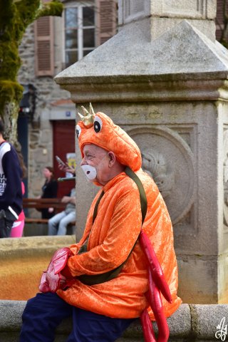 DSC_0506